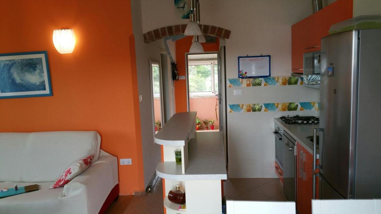 Apartament Tri Palme Prvic Sepurine Zewnętrze zdjęcie